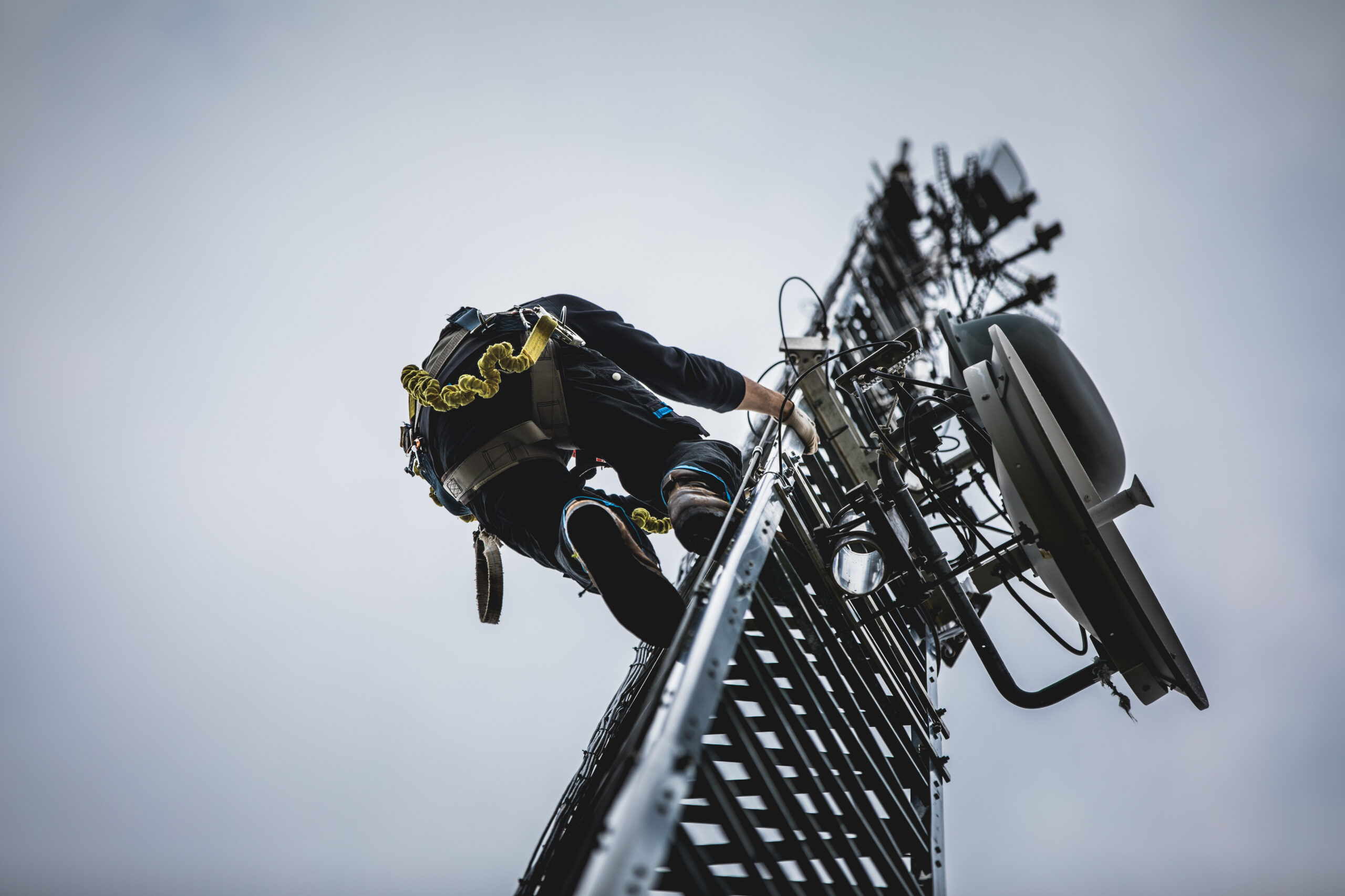 What to Look for in a Telecom Construction Partner